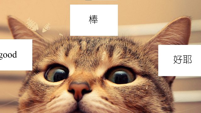 勇敢者自有他的奖励。