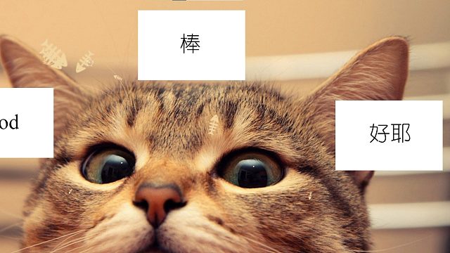 来晚了，可惜。