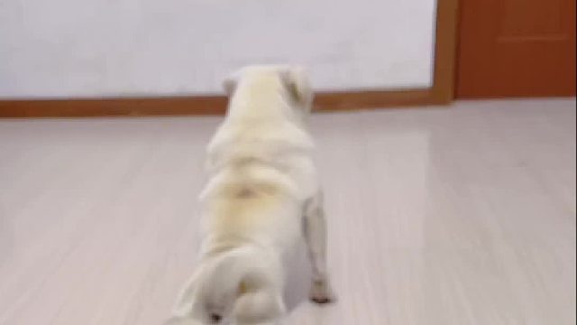 不怕神一样的对手！就怕。。