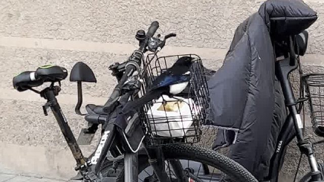 目击喜鹊偷吃面包，被发现了飞到屋檐上，叽叽喳喳骂了我半天…… ​