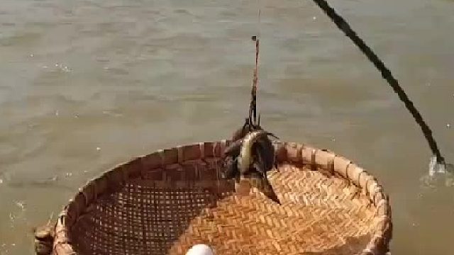 这个钓鱼的办法好啊