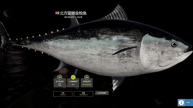 18岁靓女的星鱼梦-380金枪