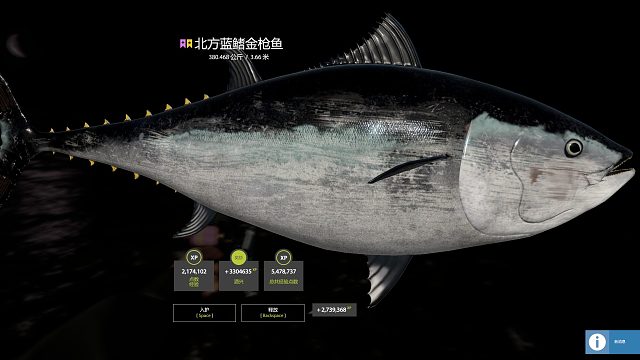 18岁靓女的星鱼梦-380金枪第二段