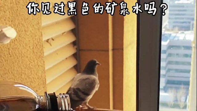 喝墨水是种怎样的体验？颠覆认知的黑色矿泉水