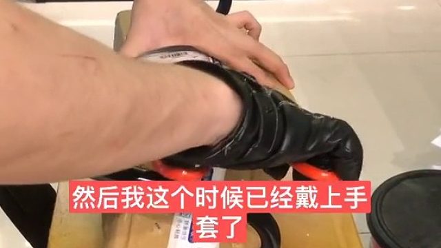 你信不信下一个视频我随便抓它！ 强盘5分钟。