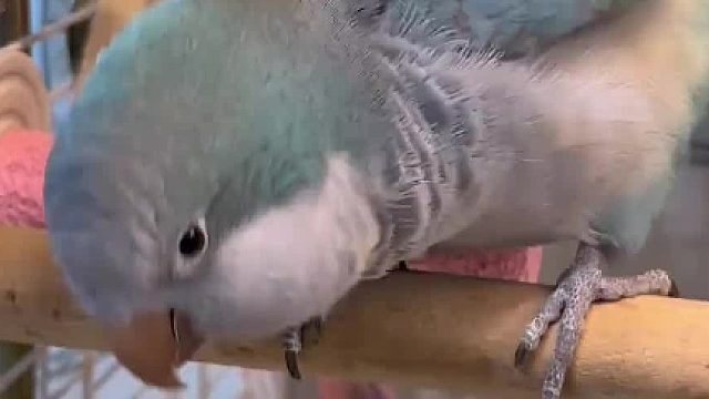 跳起来打你屁股