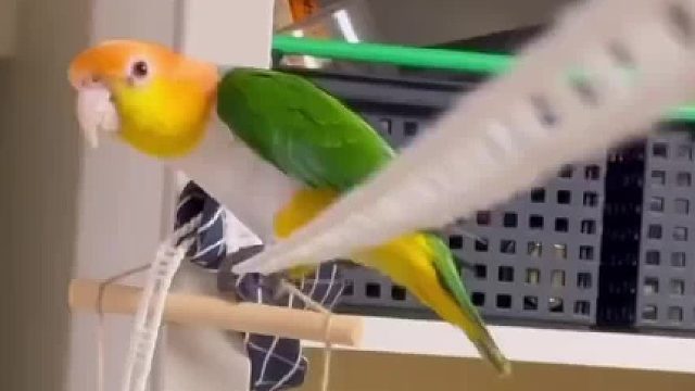 有心表演哪里都是舞台