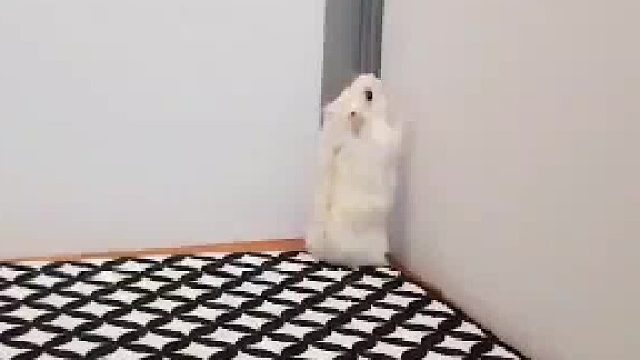 哎呀，被拍到了