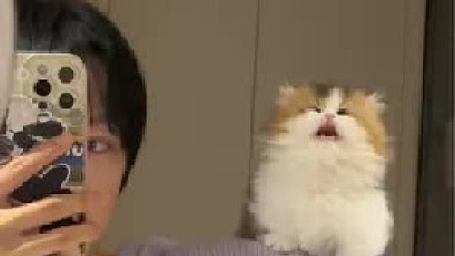 这是我的保镖，可以看看你们的吗