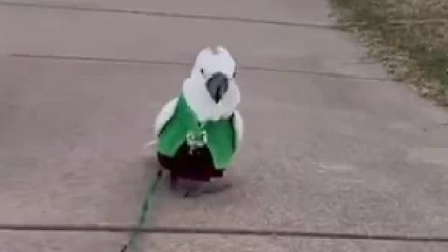 阿葵也可以很乖巧