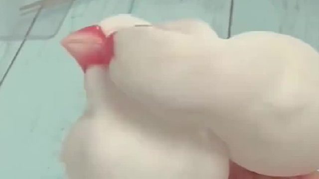 翻脸比翻书还快