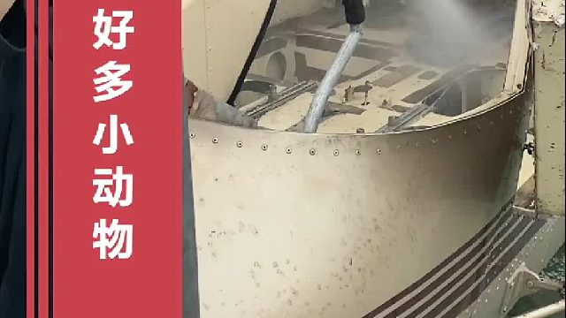 直升飞机里面住了好多小动物！