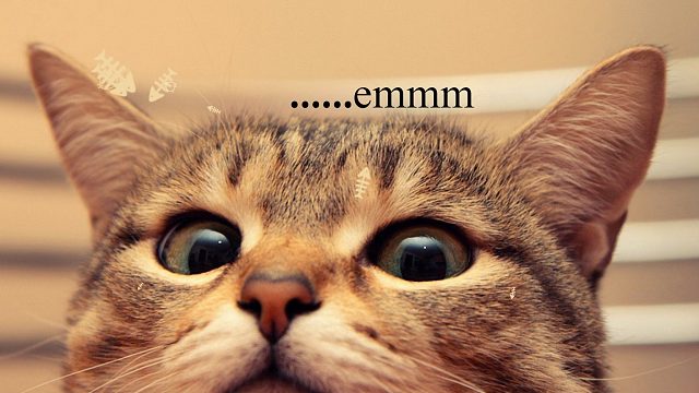 你tm属蛤蟆的？