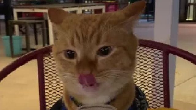 家人们谁懂啊约会对象一声不吭只知道埋头喝水