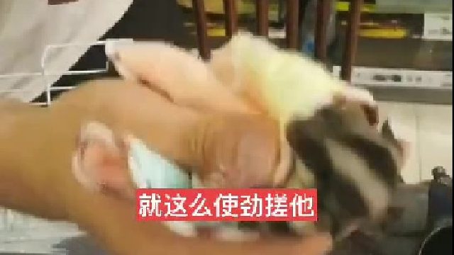 蜜教程我该发一个了，节省所有人的时间