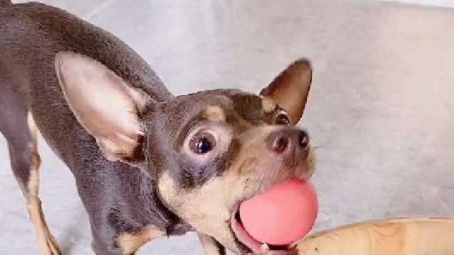 这家伙这么讨厌呢？