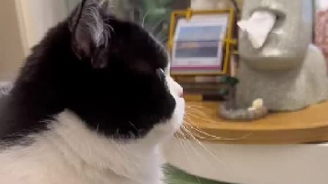 有种脾气很大，本事很小的感觉