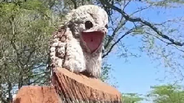 哈哈哈丑萌丑萌的……