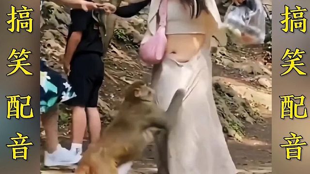 搞笑配音：这猴子太坏了 不给吃的就脱衣服