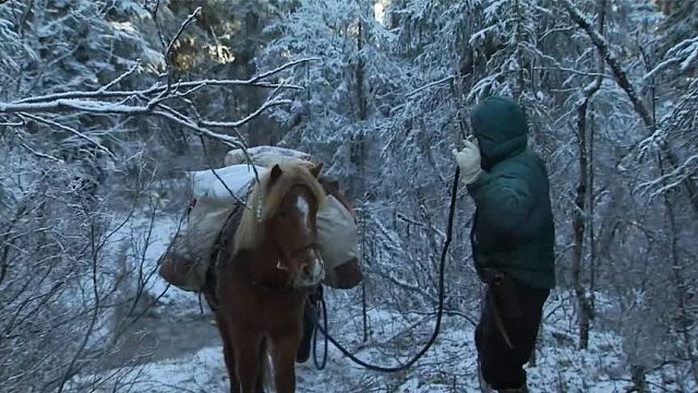 荒野生活系列：猎人捕捉麝鼠制作原始靴帽，新手海岛艰难求生！
