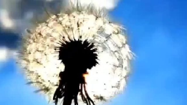 不争不扰 不非不议