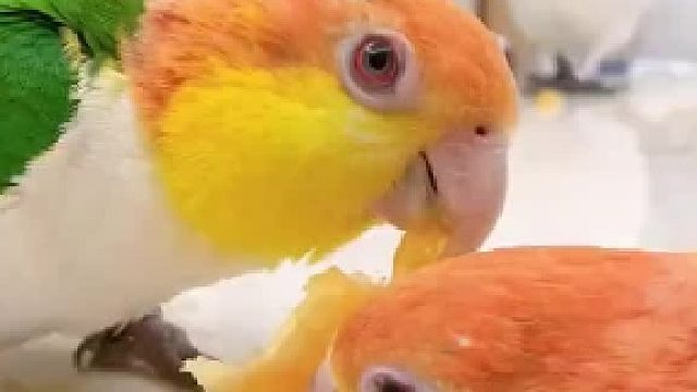 鹬蚌相争渔翁得利