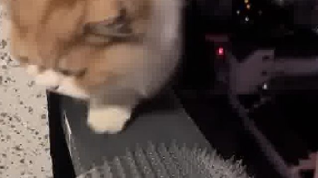 “对方撤回一个温柔的妈妈”，抓到前：花言巧语 温柔的呼唤，抓到后：恭喜你 即将迎来一顿暴打。