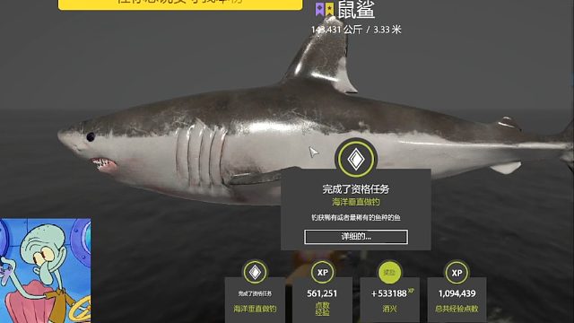 海图第一个稀有星鼠鲨