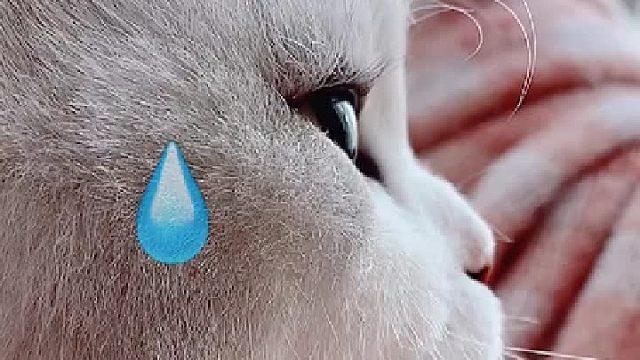 假如有一天，全世界都不要你……