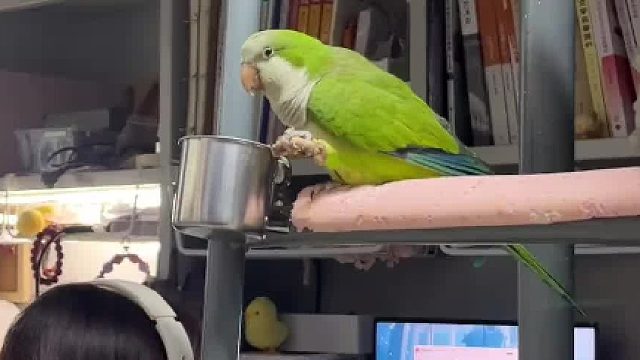 青春没有售价，我姨入口即化