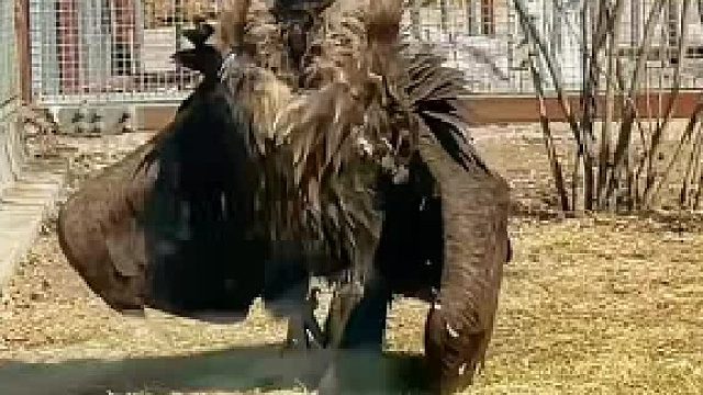 没病咱就走两步