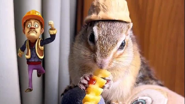 熊二头上的光头强～