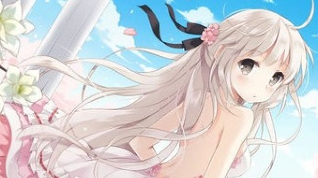 布轮的超标之处