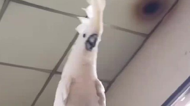 能不能别这么笑，瘆得慌