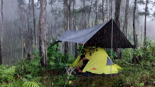 让我们沉浸式欣赏一下狠人小哥的雨天露营吧（第二集）