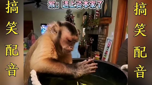 搞笑配音：一个比一个搞笑 笑到肚子疼