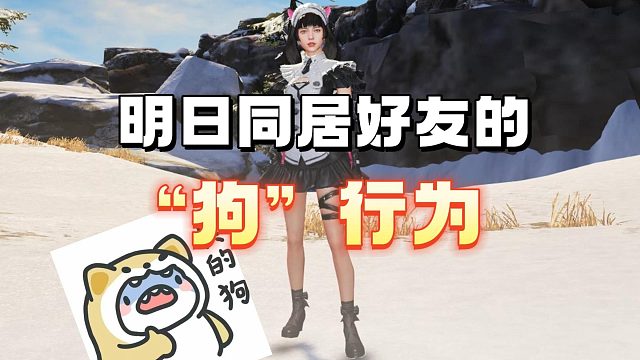 同居好友的“狗行为”