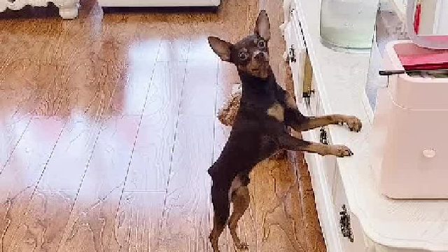 你是有爱心还是有私心