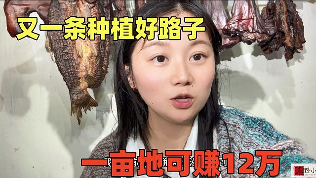 又一个种植好路子，市面上稀缺，一亩地产15000斤亩赚12万，暴利！