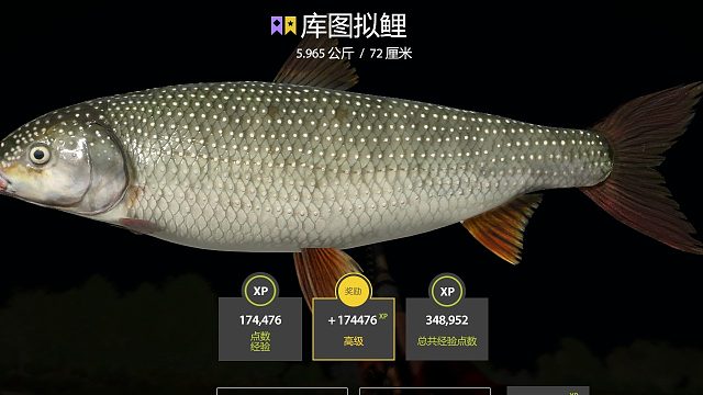 星酷图拟鲤！！！