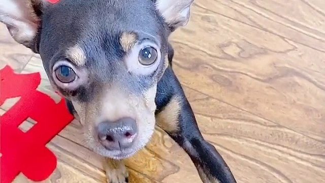 你不缺吃，不缺喝，要钱干啥用呢？