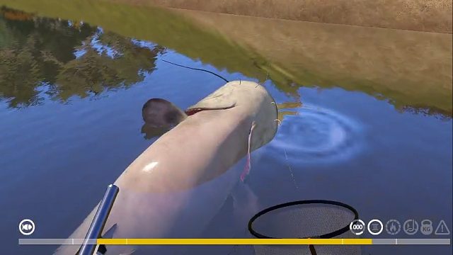 欧鲇好身材，翻身秀出来。