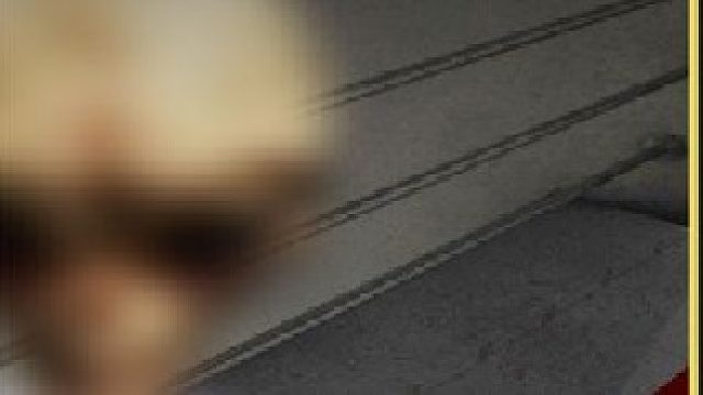 神秘物种潜伏美国？小灰人究竟是什么？揭秘51区与外星人的秘密下集