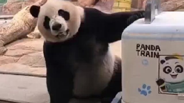 酷酷：什么火车，还敢撞我