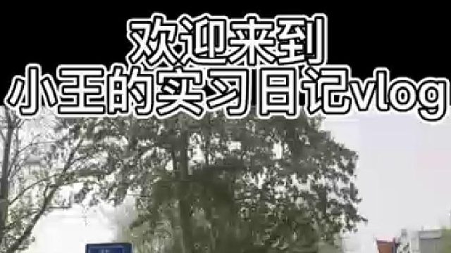 一个实习生拍摄的#it培训#职业教育#实习