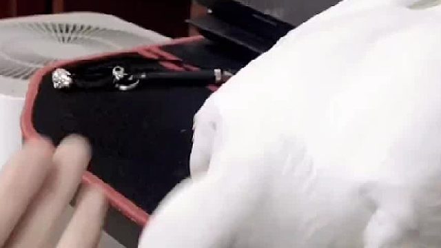 一定不是鸽子不喜欢我了对不对？只是为了表达打是亲骂是爱对不对？#萌宠日常记录 #vlog日常 #手养鸟