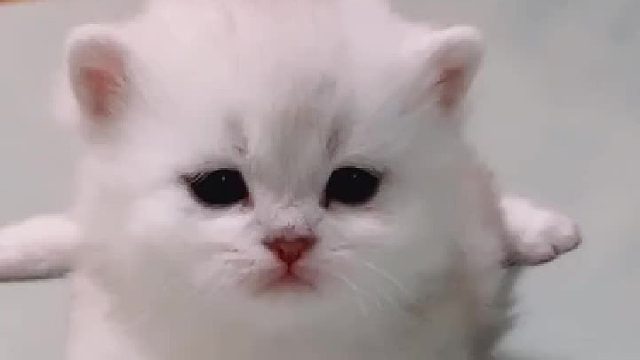 爆老二，暴脾气啊