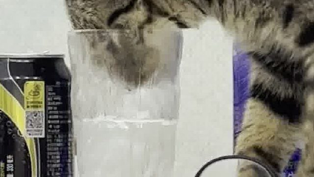 哈哈哈哈它不累么 它明明有水啊 ​