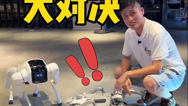 机器狗大对决，国内能找到的机器狗都来了！