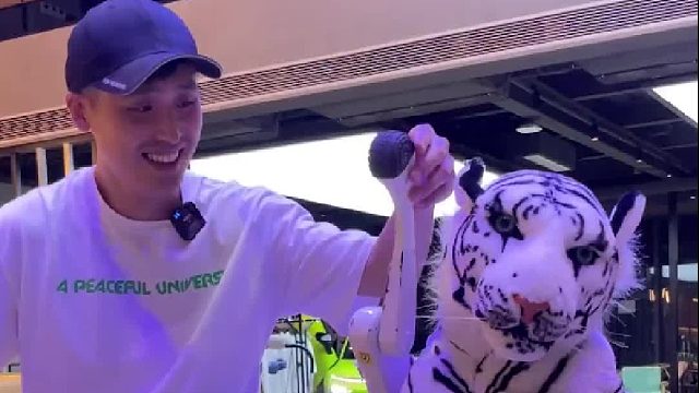 机器狗擂台大战，狗子嚣张起来也很可怕！